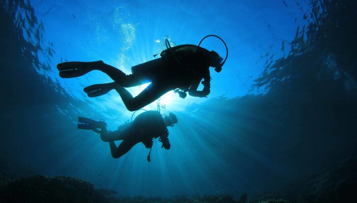 Divers - Ocean Ambassadors